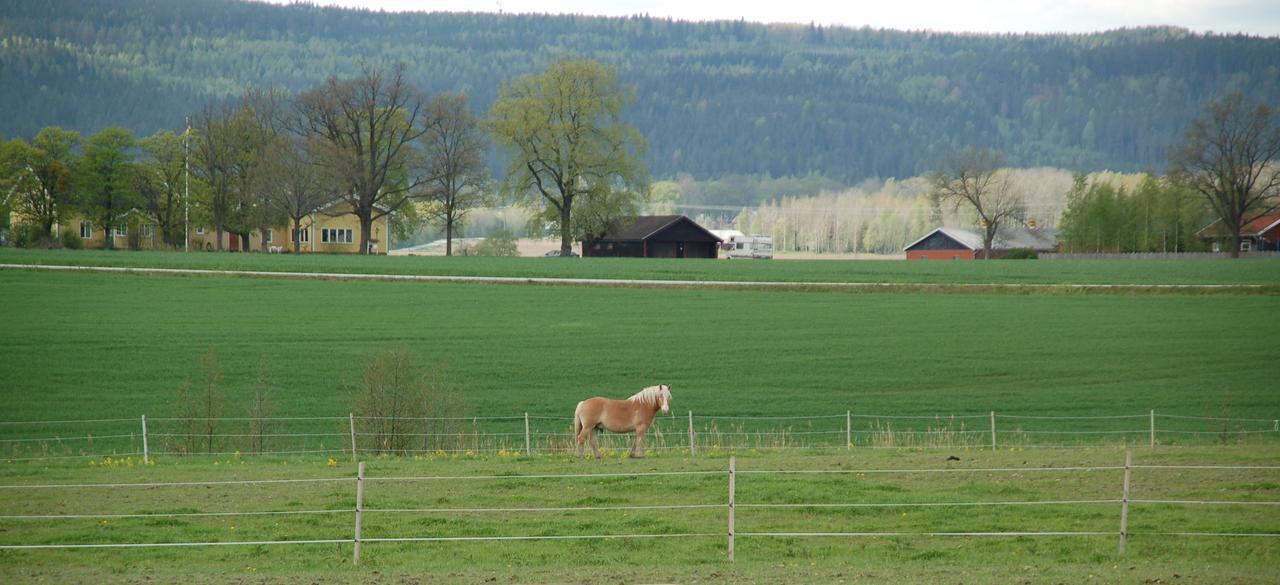 Vallby Farm Camp Örebro Eksteriør billede